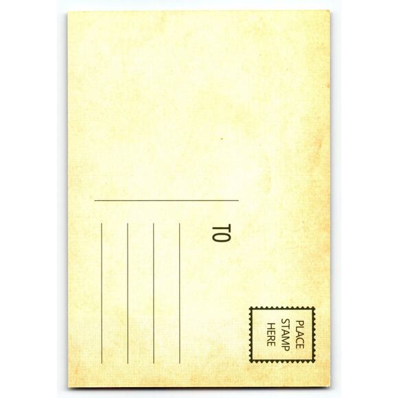 Vintage Halloween Postcard Owl with Jack-o'-Lanterns & Flying Bats Gothic - Picture 2 of 2